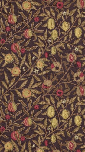 Morris & Co - Fruit Wine/Manilla Morris and Friends Wallpa