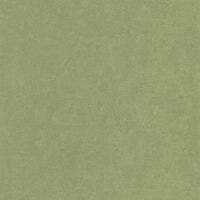 COTTON TOUCH VERT CACTUS COTTON TOUCH