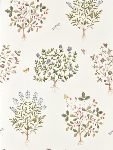 Sanderson - Thyme Walk Damson/Quince
