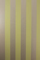 STRIPE METALLICO VINYLS STRIPE C
