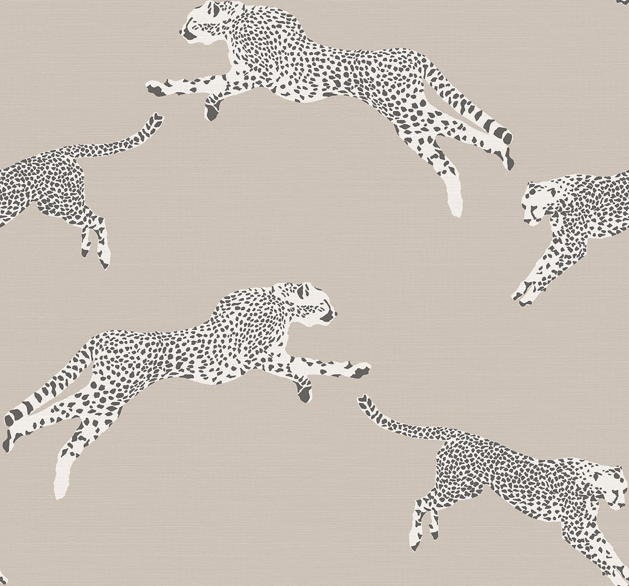 Jannelli & Volpi - Leaping Cheetah