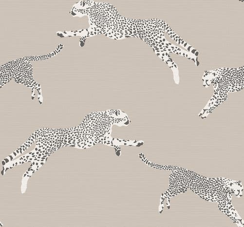 Jannelli & Volpi - Leaping Cheetah