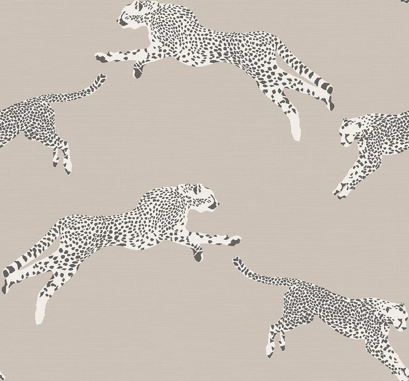 Jannelli & Volpi - Leaping Cheetah