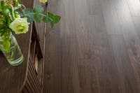 Maxwood XL - Valnöt Sotad