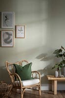 Linne, Ljus Björk Enfärgad & Randig