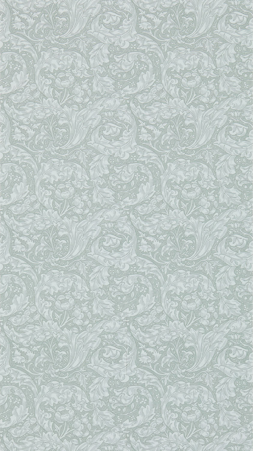 Morris & Co - Bachelors Button Silver Morris 160th Anniversary