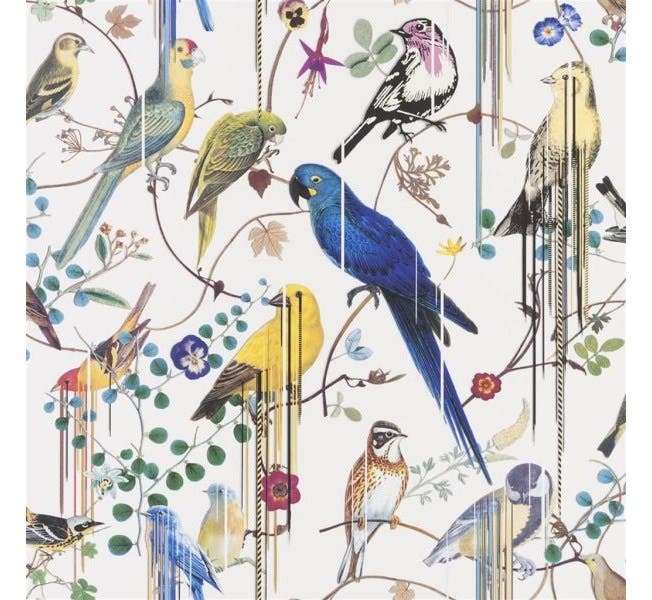 Birds Sinfonia Histoires Naturelles