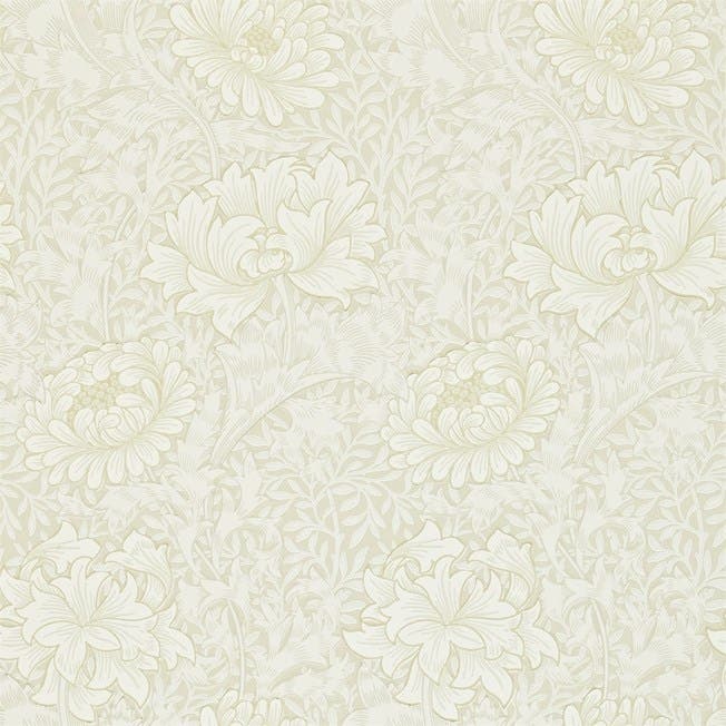 Chrsyanthemum Chalk Morris 160th Anniversary