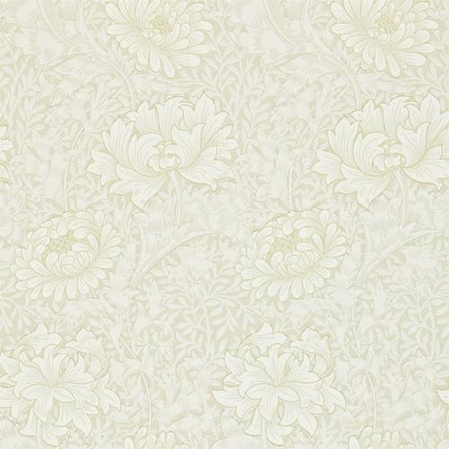 Morris & Co - Chrsyanthemum Chalk Morris 160th Anniversary