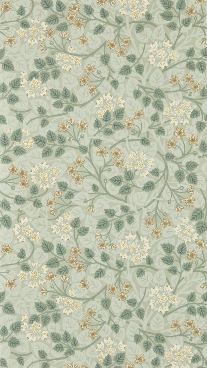 Sanderson - Silver Lime Nymph