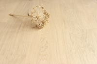 Maxwood XLW - Ek Unique Raw