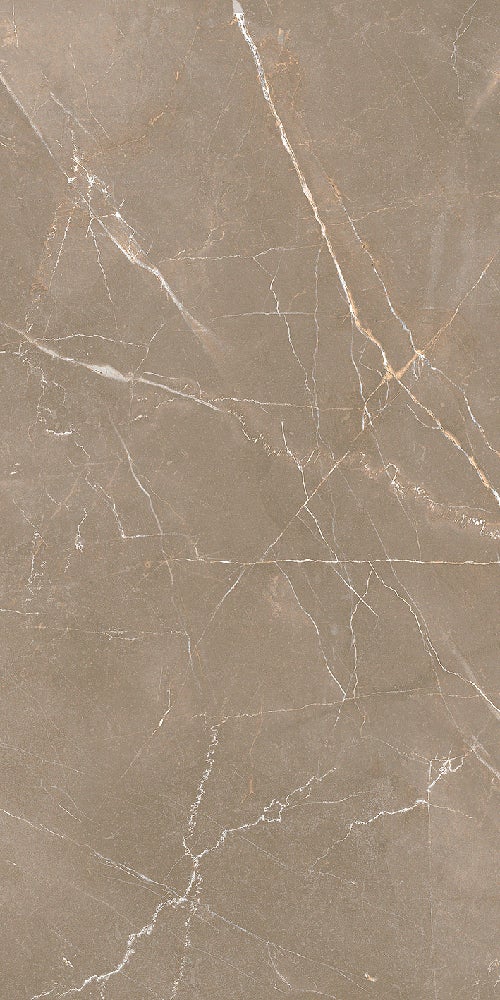 Mojave Earth polerad 60x120 såg