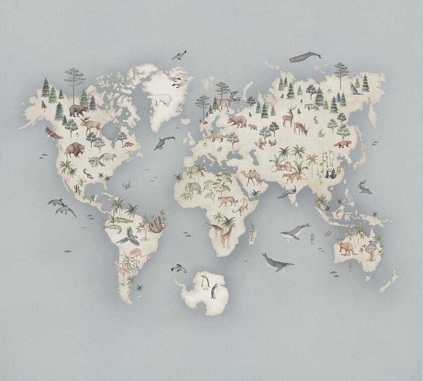 Little Explorer Mural Newbie