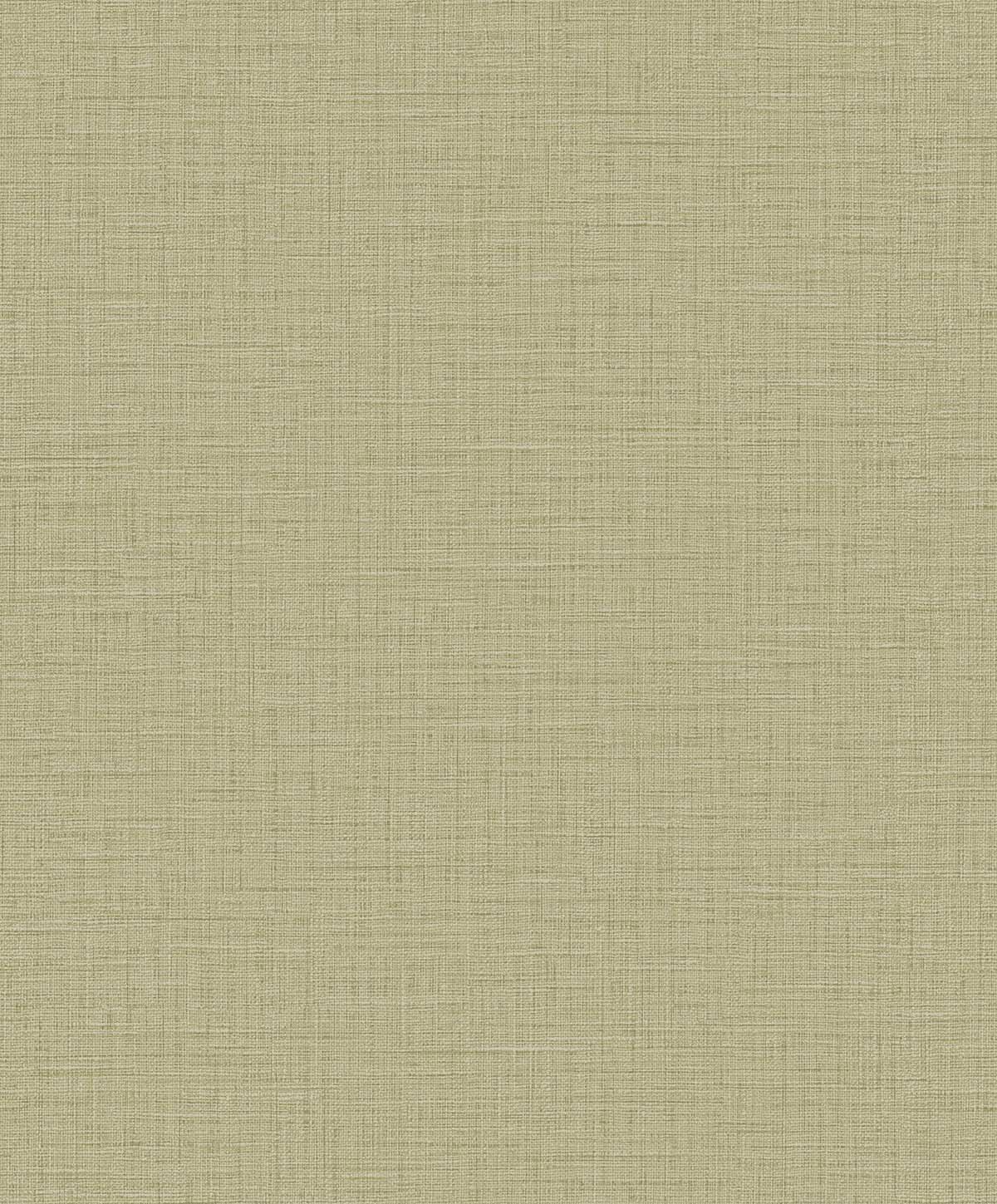 Carma - Texture Palette