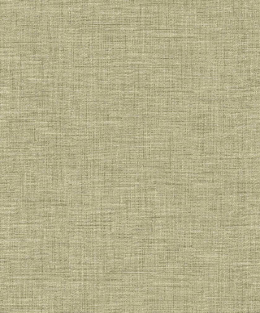 Carma - Texture Palette