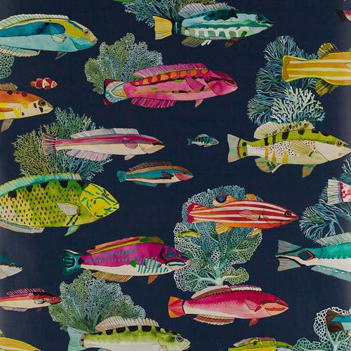 Manuel Canovas - Fidji Marine