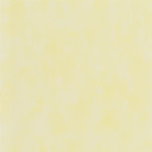 Designers Guild - Parchment Parchment