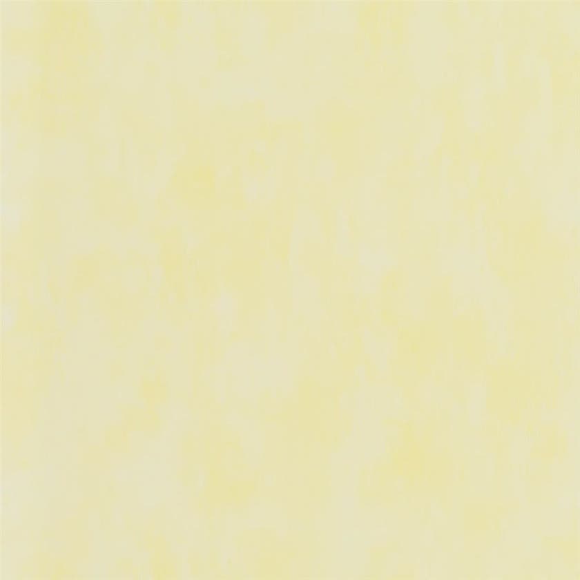 Designers Guild - Parchment Parchment