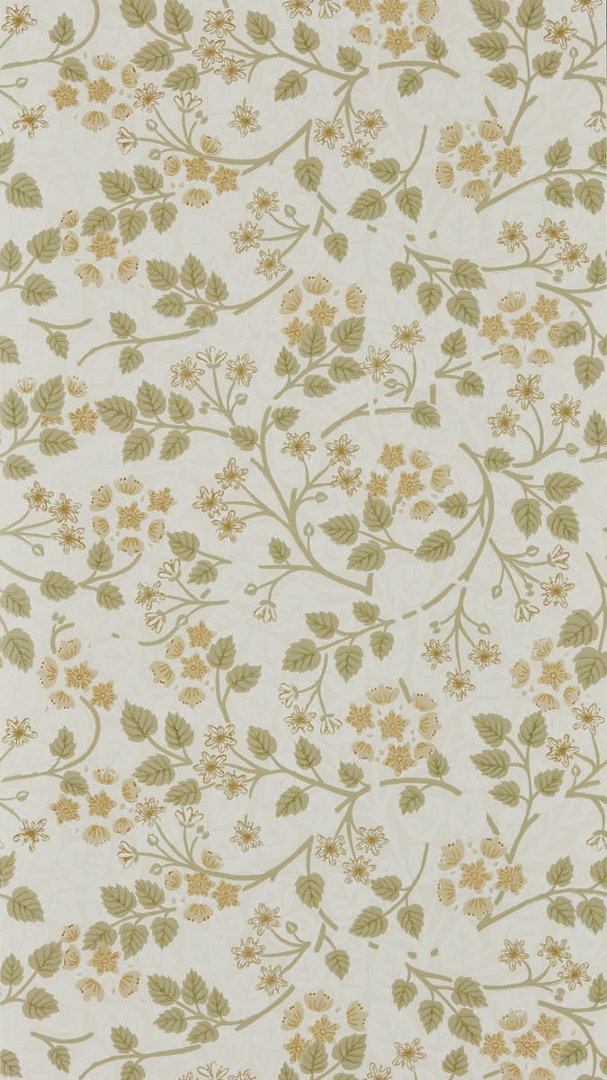 Sanderson - Silver Lime Lichen