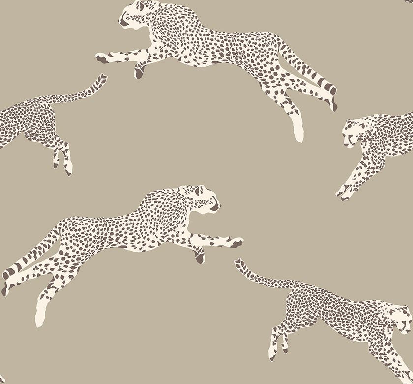 Jannelli & Volpi - Leaping Cheetah
