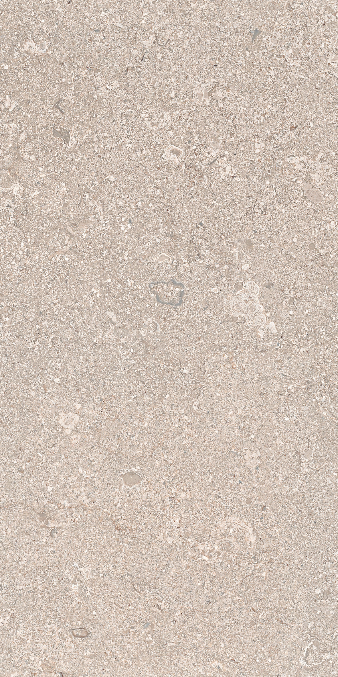 Limestone Ivory 30x60 såg