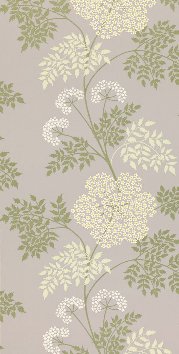 Sanderson - Cowparsley Amethyst Sanderson One Sixty Wallp