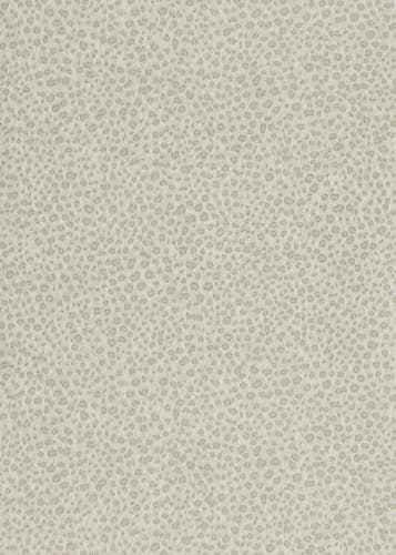 Zoffany - Wallis Paris Grey Darnley Wallpapers