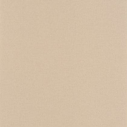 Caselio - Uni Taupe Basics