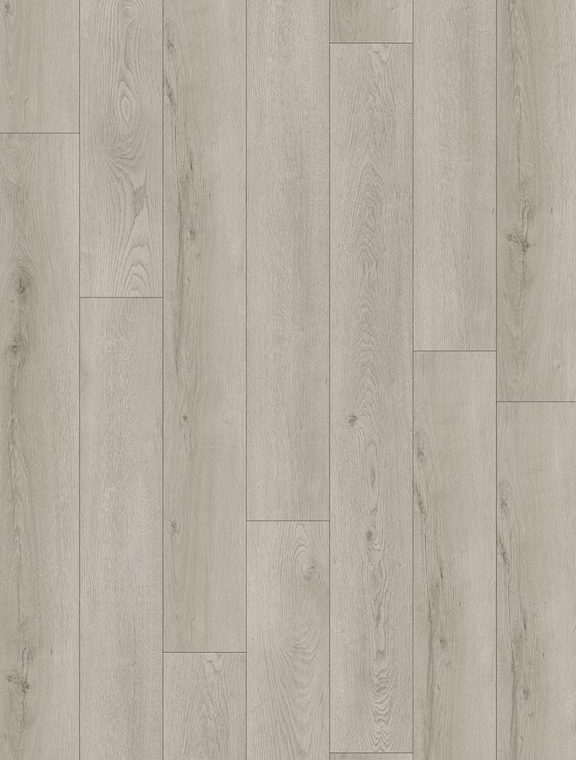 Softstep SYNQ Beluga