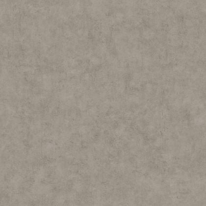 Caselio - Beton Uni Taupe Gris Fonc Beton 2