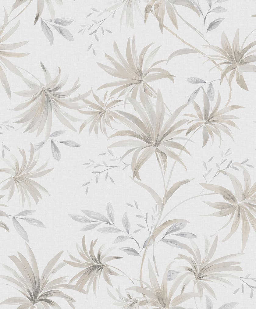 Caribbean II Umbrella Palm