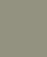 PIGMENTS GRIS ELEPHANT GALONS & FRISES