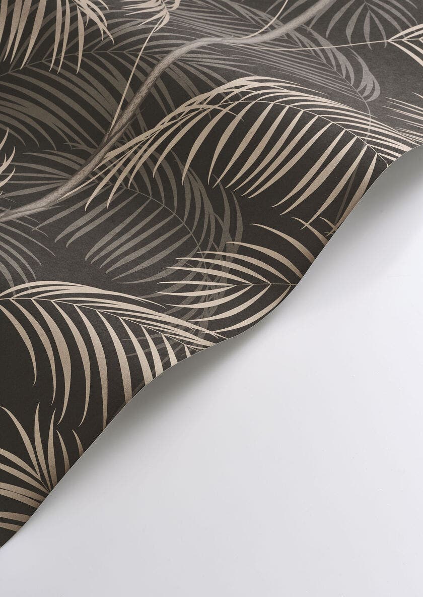 LE TOUT PARIS NOIR FUSAIN ANNEES FOLLES