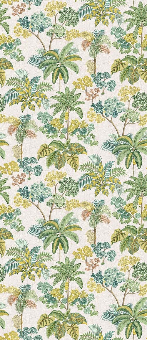 Malabar Empyrea Malabar Apple Gre