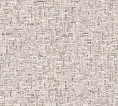 Intrade - Jungle Chic