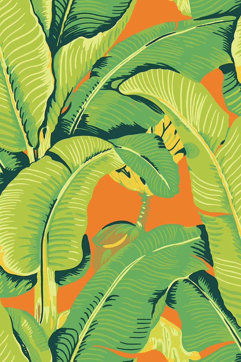 Jannelli & Volpi - Hinson Palm