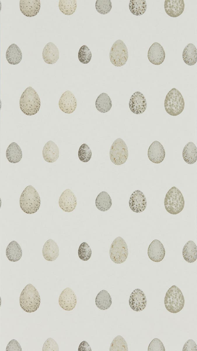 Sanderson - Nest Egg Almond Stone Embleton Bay Wallpapers