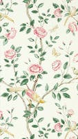 Andhara Rose/Cream Caspian Wallpapers