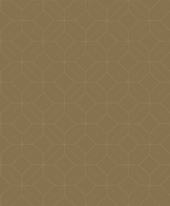 PRECISION CHAMOIS ALCHIMIE CAD