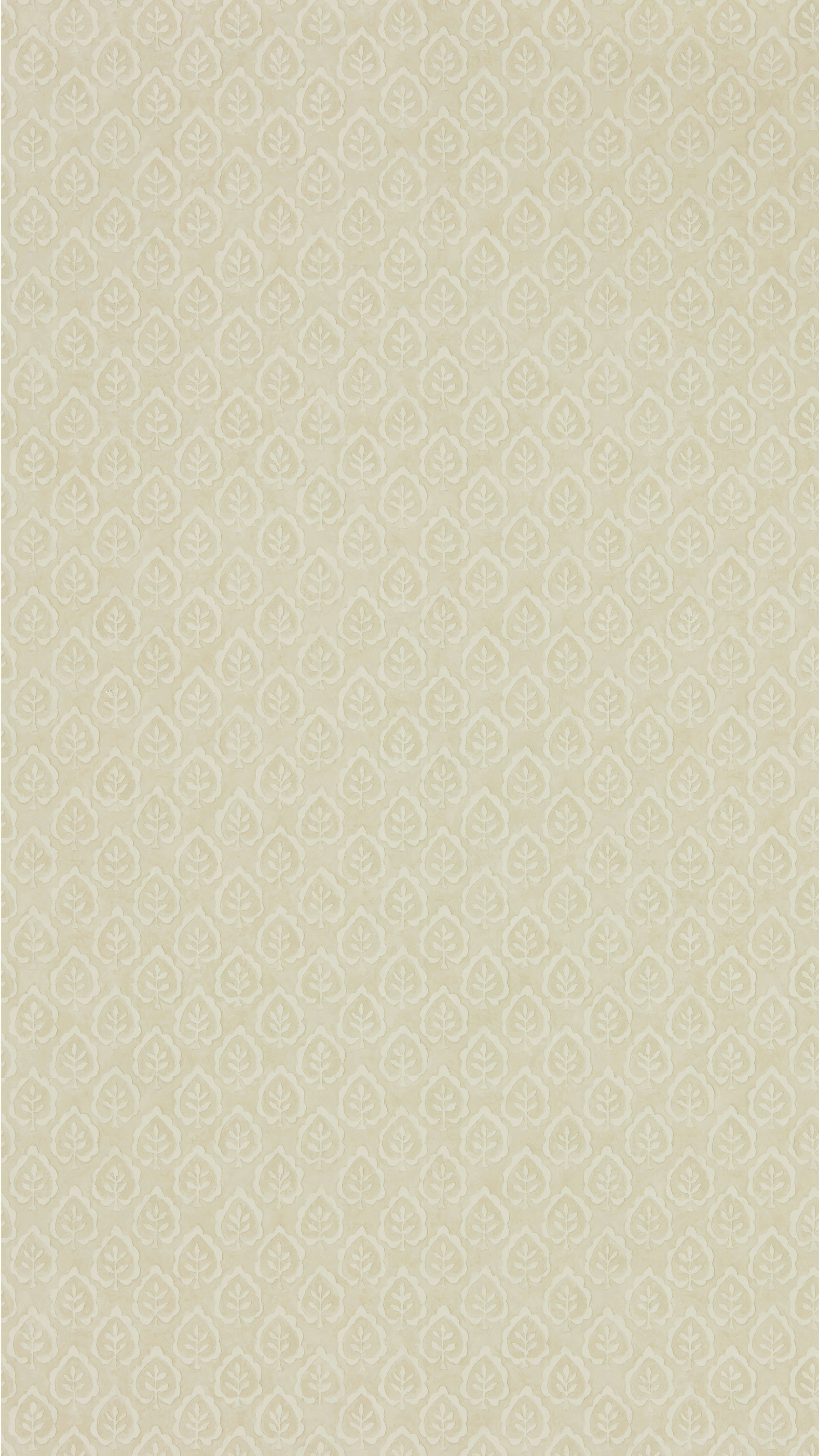 Sanderson - Fencott Cream Littlemore Wallpapers