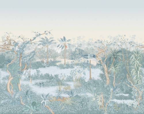 Manuel Canovas - Borneo Celeste