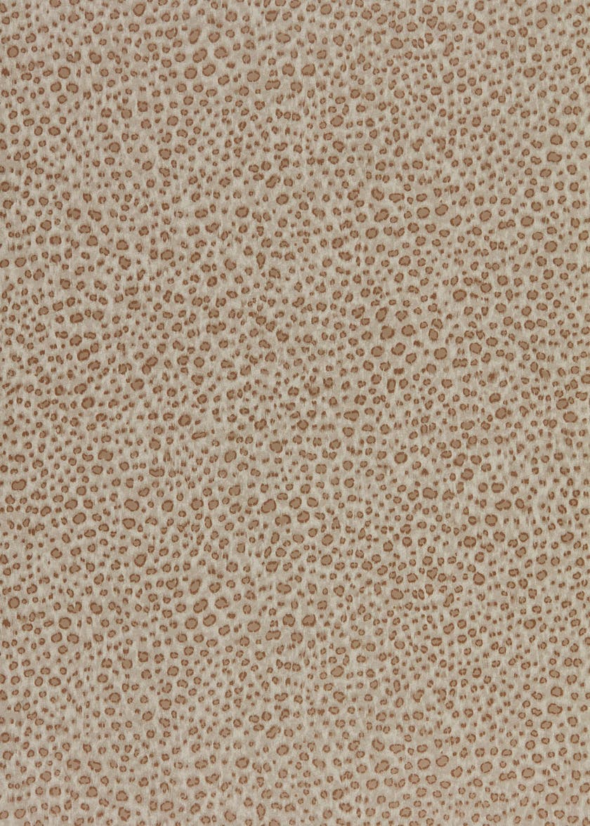 Zoffany - Wallis Sable Darnley Wallpapers