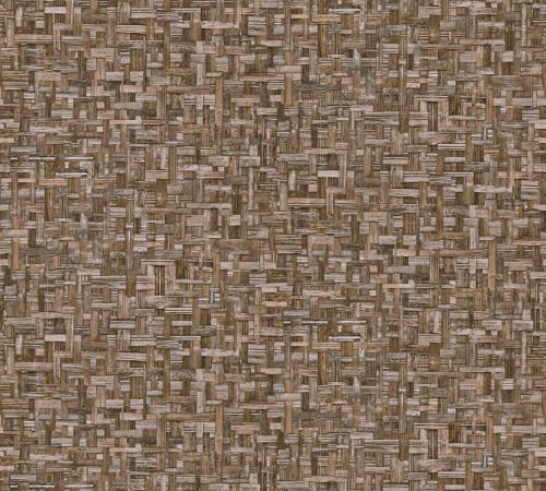 Intrade - Jungle Chic