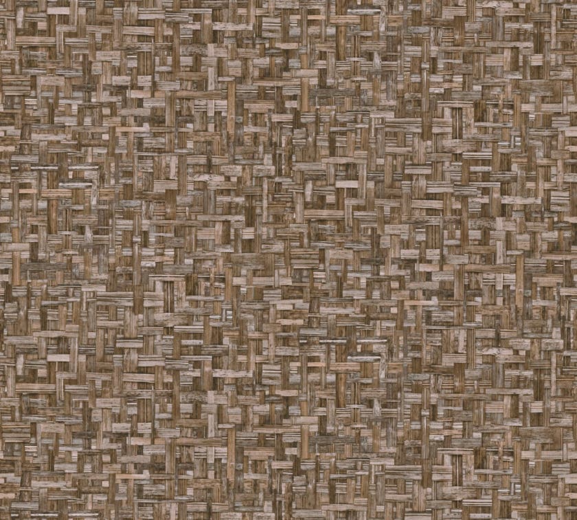 Intrade - Jungle Chic