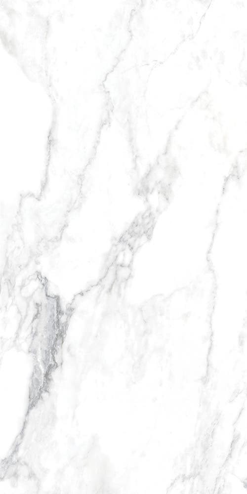 Canova Arabescato 60x120 såg