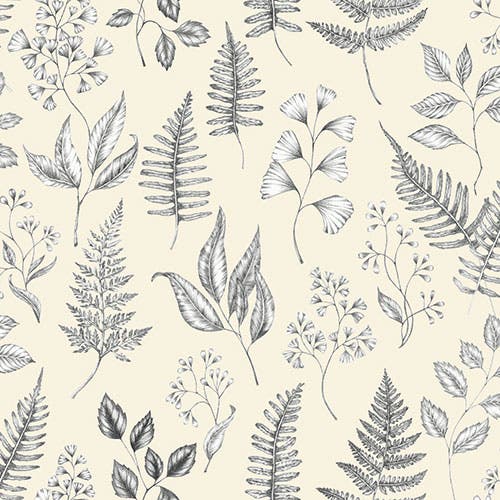 Betula - Midbec Skogsgläntan
