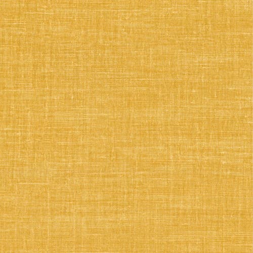 Casamance - Shinok Curry Le Lin 2