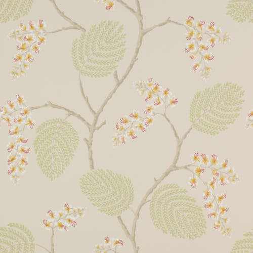 Colefax and Fowler - Atwood Coral/Green