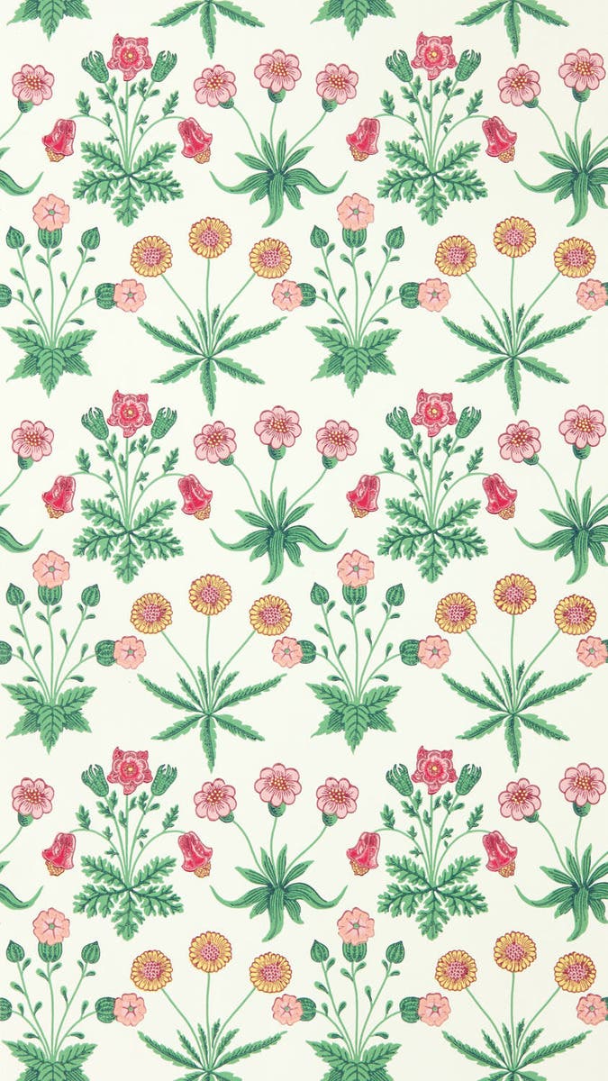 Daisy Strawberry Fields Bedford Park Wallpapers