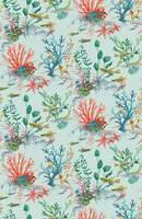 CORALLINE LAMORRAN CORALLINE AQUA.